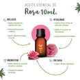 thumbnail image 5 of Aceite Esencial Puro Rosa 10 ml, 5 of 5