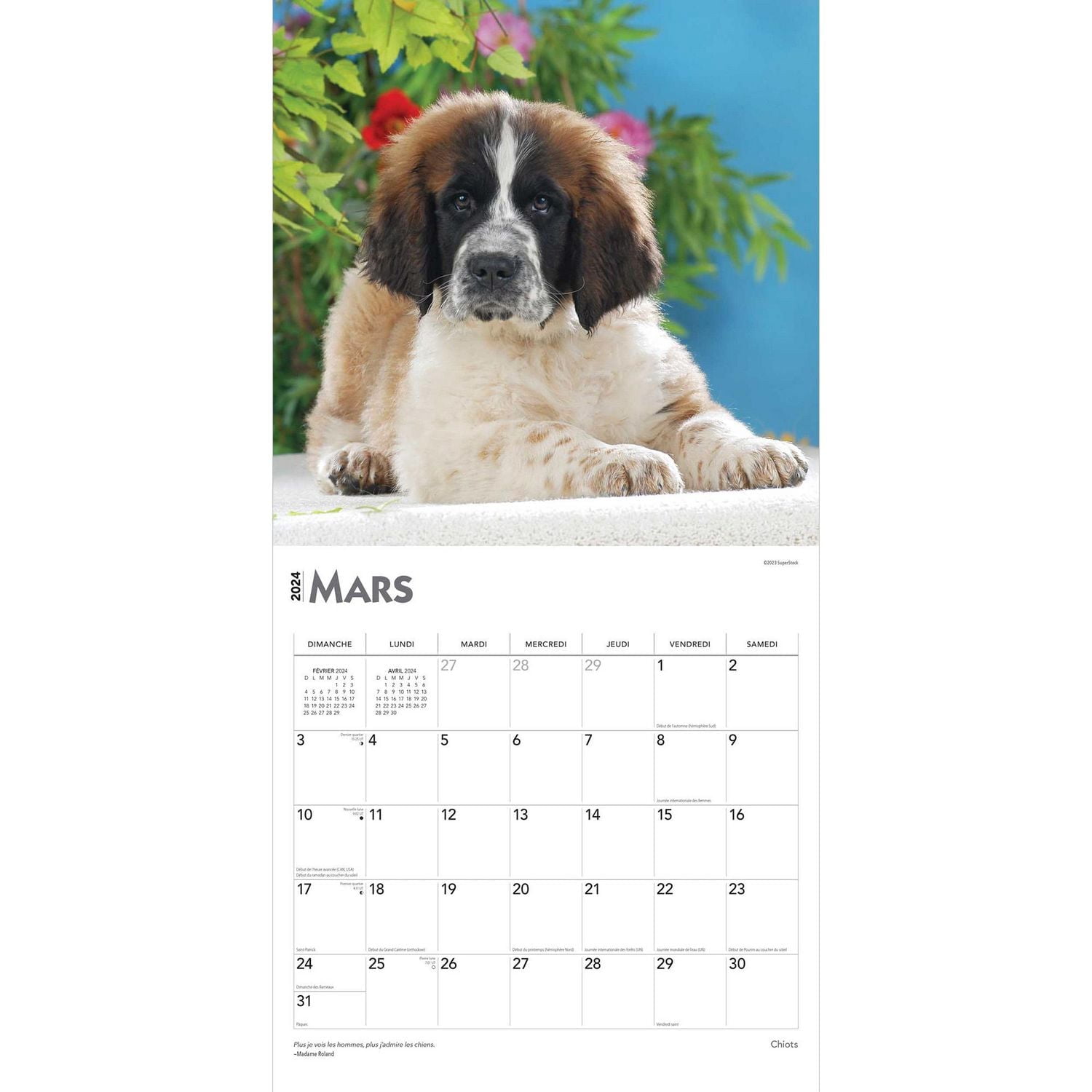 BrownTrout Puppies 2024 12x24 Inch Square Wall Calendar, 9781975470302