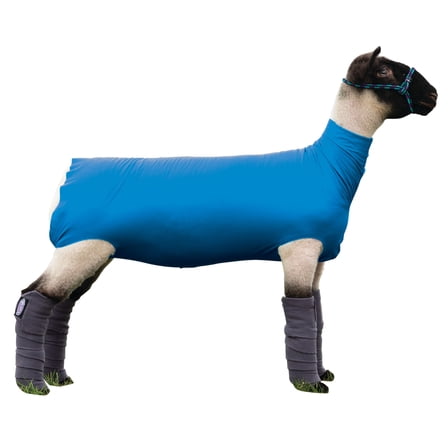 Weaver Livestock Spandex Sheep Tube Blue XL