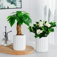 thumbnail image 6 of chaungfeng Selfs Watering Flower Pots for Small Potted Plants for Hydroponics, Home Desktop Plastic Pots Thickened All-Season Container (White), 6 of 6