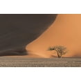 thumbnail image 2 of Michiels, Bart 32x23 Black Ornate Wood Framed with Double Matting Museum Art Print Titled - Dune 45, 2 of 4