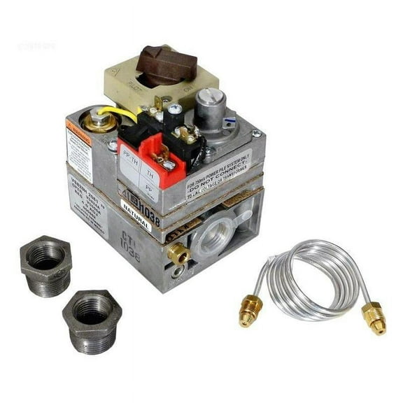Raypak 003898F Millivolt Natural Gas Valve | 003898F
