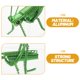 thumbnail image 3 of Figura de saltamontes de aluminio, juguete de saltamontes, adorno cognitivo de langosta, 3 of 8