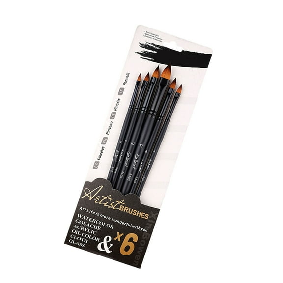 6x Artist Brushes Professional Paint Brush Set for Watercolor Oil Painting