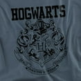 thumbnail image 2 of Harry Potter Hogwarts Athletic Unisex Adult T Shirt, Slate, 2X-Large, 2 of 6