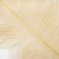 thumbnail image 3 of ZUCKER™ Ostrich Feathers-Prime Femina - Biege, 3 of 3