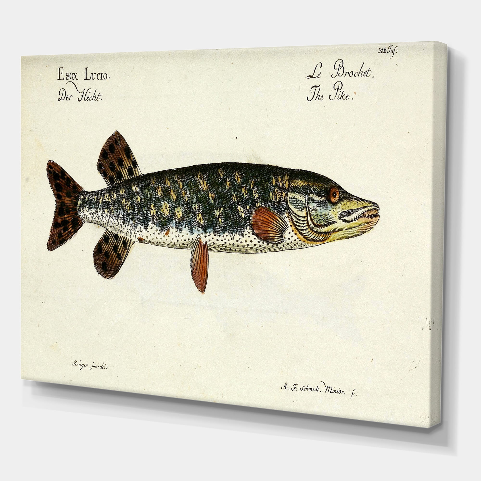 Designart ' Portrait Of A Green Fish On Beige ' Nautical & Coastal Canvas Wall Art Print