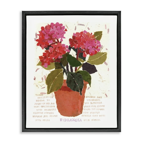 Stupell Industries Bold Red Hydrangea Botanical & Floral Painting Black Floater Framed Art Print Wall Art, 17 x 21