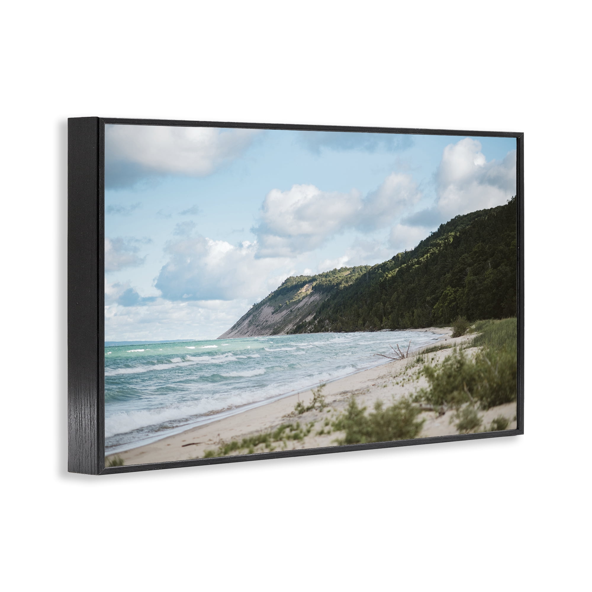 Stupell Industries Sleeping Bear Cliff Black Framed Giclee Art, design by Amy Carroll