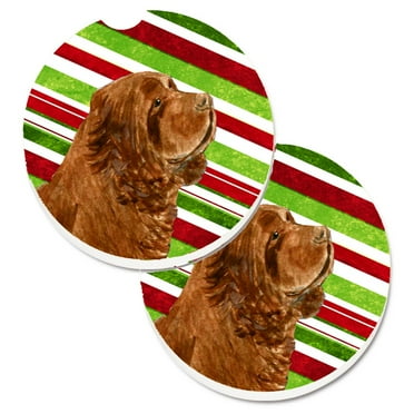 Set of 2 Cup Holder Car Coasters