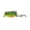 e, variant on Frog Fishing Lure 1.3 Inch 0.1 oz, Soft Weedless Frog Bait for Snakehead Bass, Topwater Hollow Body Lure with Weighted Hook