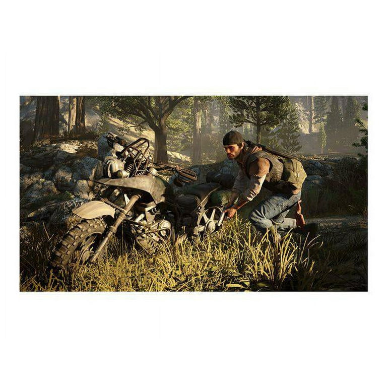 Days Gone - PlayStation 4 