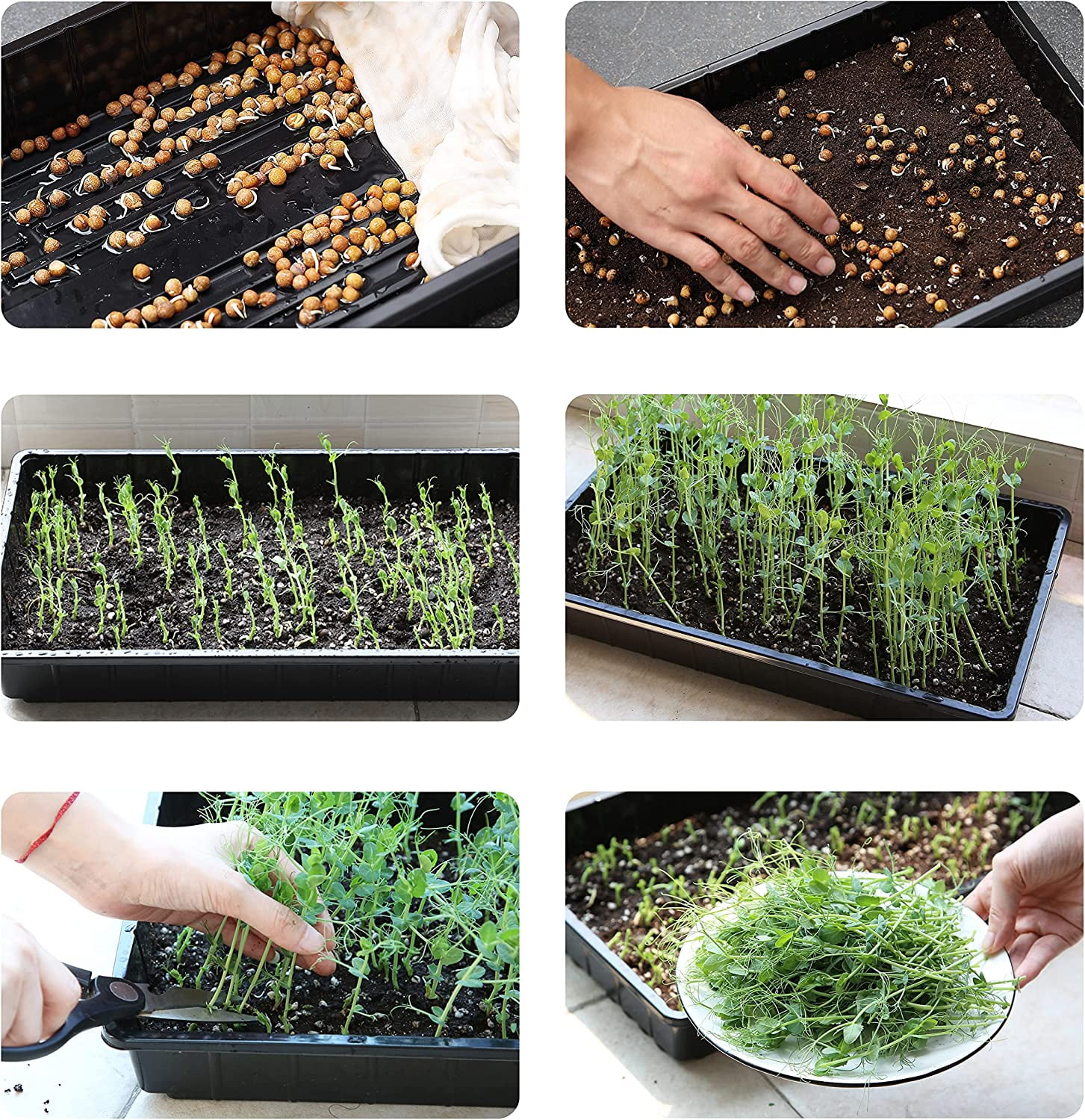 -Plastic Growing Trays, 5 Pack, Plant Tray, Seed Tray, Propagation Tray