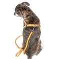 thumbnail image 2 of Pet Life ® 'Easy Tension' Reflective Stitched Adjustable 2-in-1 Pet Dog Leash and Harness, 2 of 7
