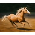 thumbnail image 2 of Drost, David 14x12 Black Ornate Wood Framed with Double Matting Museum Art Print Titled - Blazing Horse I, 2 of 4
