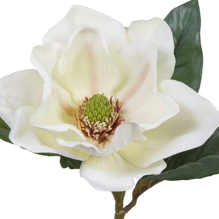 Stock Flower Stem - Magnolia