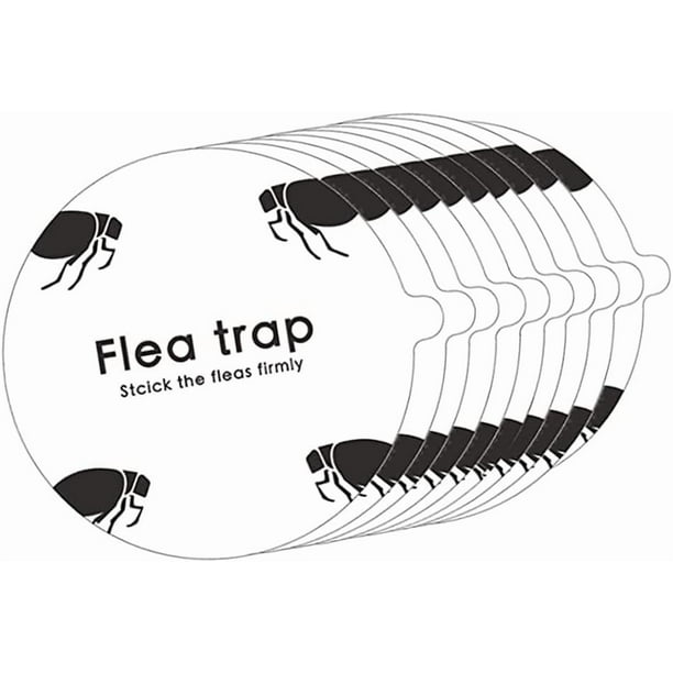 10 pegatinas para trampas antipulgas redondas y adhesivas, tipo domo, para el hogar, el dormitorio y la casa de mascotas.