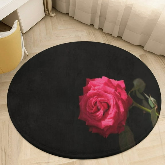 Red Rose Black Round Area Rugs for Bedroom Living Room, 4FT Soft Indoor Circle Carpets, Carpet Home Decor Floor Mat