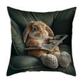 thumbnail image 2 of CaiYueKe Rabbit Pillow Cover Cute Animal Print Decorative Throw Pillowcase, Soft Plush Printed Design for Sofa Couch Bed Living Room, Cozy Farmhouse Home Decor Aesthetic Accent Pillow Cover, 2 of 7