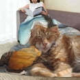 thumbnail image 6 of Rateoe Relaxing Cat With Orange Juice Print Fuzzy Fleece Throw Blanket Extra Large,Super Soft,Fluffy and Warm Blankets for Couch,Bed,All Season Use (60"x50"), 6 of 8