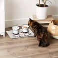 thumbnail image 4 of Cartoon Big-Eye Cat Silica Gel Pet Mat, Dog & Cat Feeding Mat, Manufacturer Direct Supply - Waterproof & Non-Slip Silica Gel Material - For Dogs & Cats, Pet Dining Area, Home, 4 of 4
