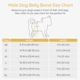 thumbnail image 2 of Bella & Pal × PJai & Friends Male Dog Diapers, 3-Pack, Highly Absorbent Washable Diapers for Small Dogs, Leak-Proof Puppy Diapers, XS, 2 of 10