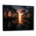 thumbnail image 2 of Designart "Shadowy Mangroves in Florida" Landscapes Floater Framed Wall Art Living Room, 2 of 7
