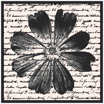 Amanti Art Inky Floral IV Framed Canvas Wall Art Print