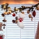 thumbnail image 5 of Calcetines Navideños Pequeños Xihbxyly con Forma de Garra de perro Cuchillo y tenedor, 5 of 5