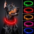 thumbnail image 1 of USB Rechargeable LED Dog Collar Glowing pet Dog Collar for Night Safety  Water Resistant Cuttable TPU Light Up Collars Fashion Light up Collar for Small Medium Large Dogs, 1 of 9