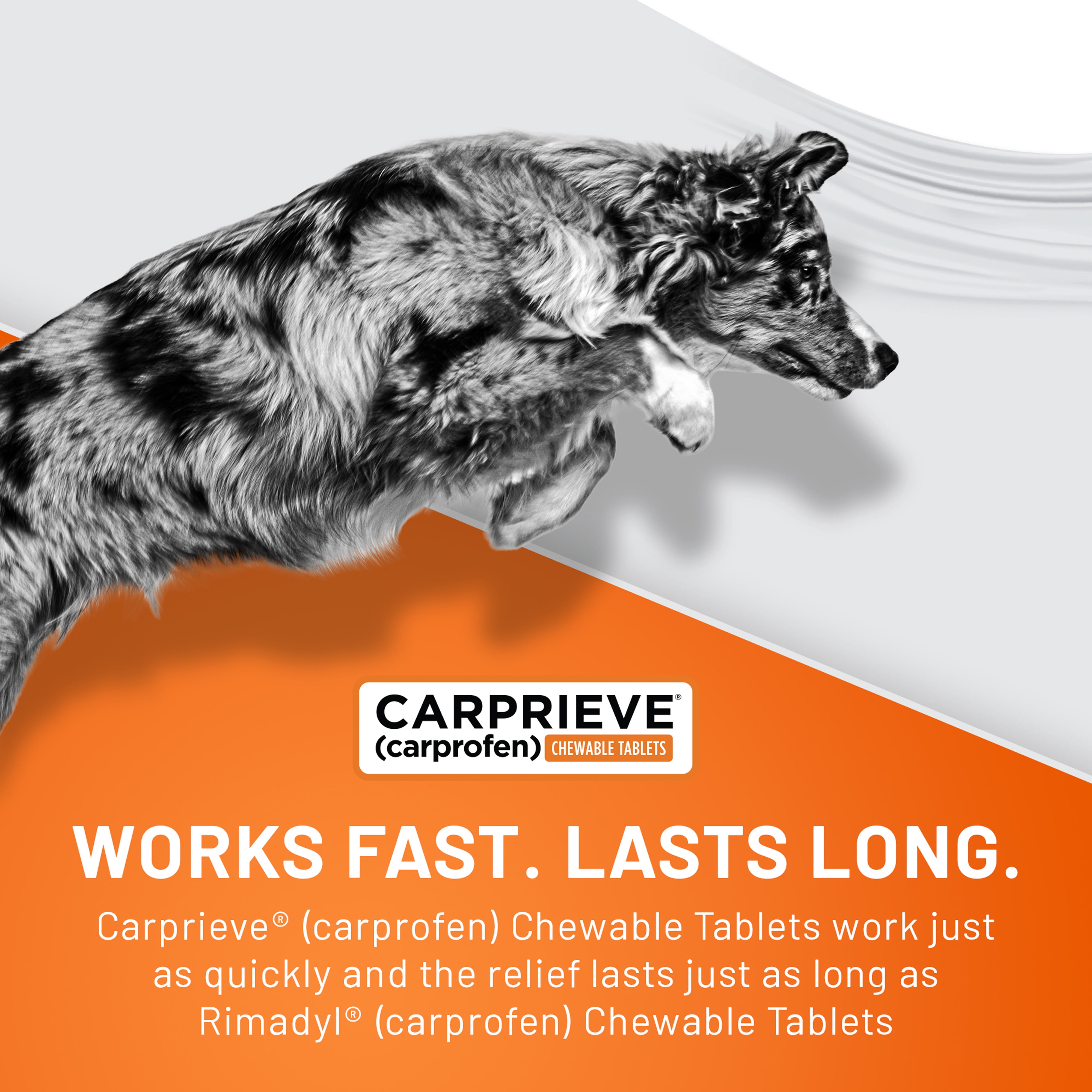 Carprieve® (Carprofen) Chewable Tablets for Dogs, 100 mg