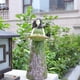 thumbnail image 3 of Estatua de jardín de hadas con comedero para pájaros JM decoración de resina al aire libre, 3 of 5
