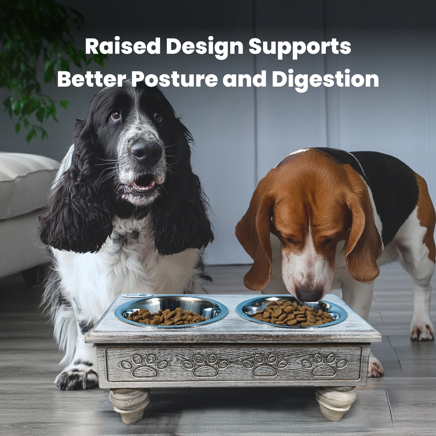 Iconic Pet Raised Wooden Pet Double Diner with Stainless Steel Bowls - Antique Gray - Medium