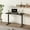 Black, variant on FLEXISPOT 55"x28" Black Home Office Height Adjustable Standing Desk Whole-piece Desktop Computer Desk