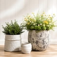 thumbnail image 6 of ShangDemonMaster Concrete Planter Set of 3, 18", 13" and 9" Round Plant Pots with Drainage Holes for Indoor and Outdoor Plants, 6 of 9
