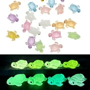 24 Pcs Luminous Resin Mini Turtles Miniature Turtle Statue Miniature Figurines Fairy Garden Accessories Cake Toppers Decoration Set for DIY Succulent Planter Moss Landscape Home Decor (B)