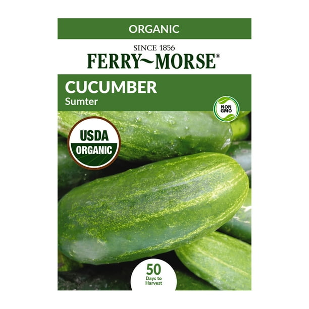 FerryMorse Organic Cucumber Sumter Plant Seeds (1 Pack) Seed