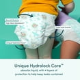 thumbnail image 4 of Rascals Premium CoComelon Absorbent Baby Diapers Size 5, 64 Count (Select for More Options), 4 of 12