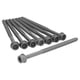 thumbnail image 1 of Kit De Tornillos Para Cabeza A6 2012 A 2013 Audi V6 2.8L AJUSA ., 1 of 3