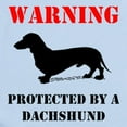 thumbnail image 2 of CafePress - Protected By A Dachshund Body Suit - Baby Light Bodysuit, Size Newborn - 24 Months, 2 of 4