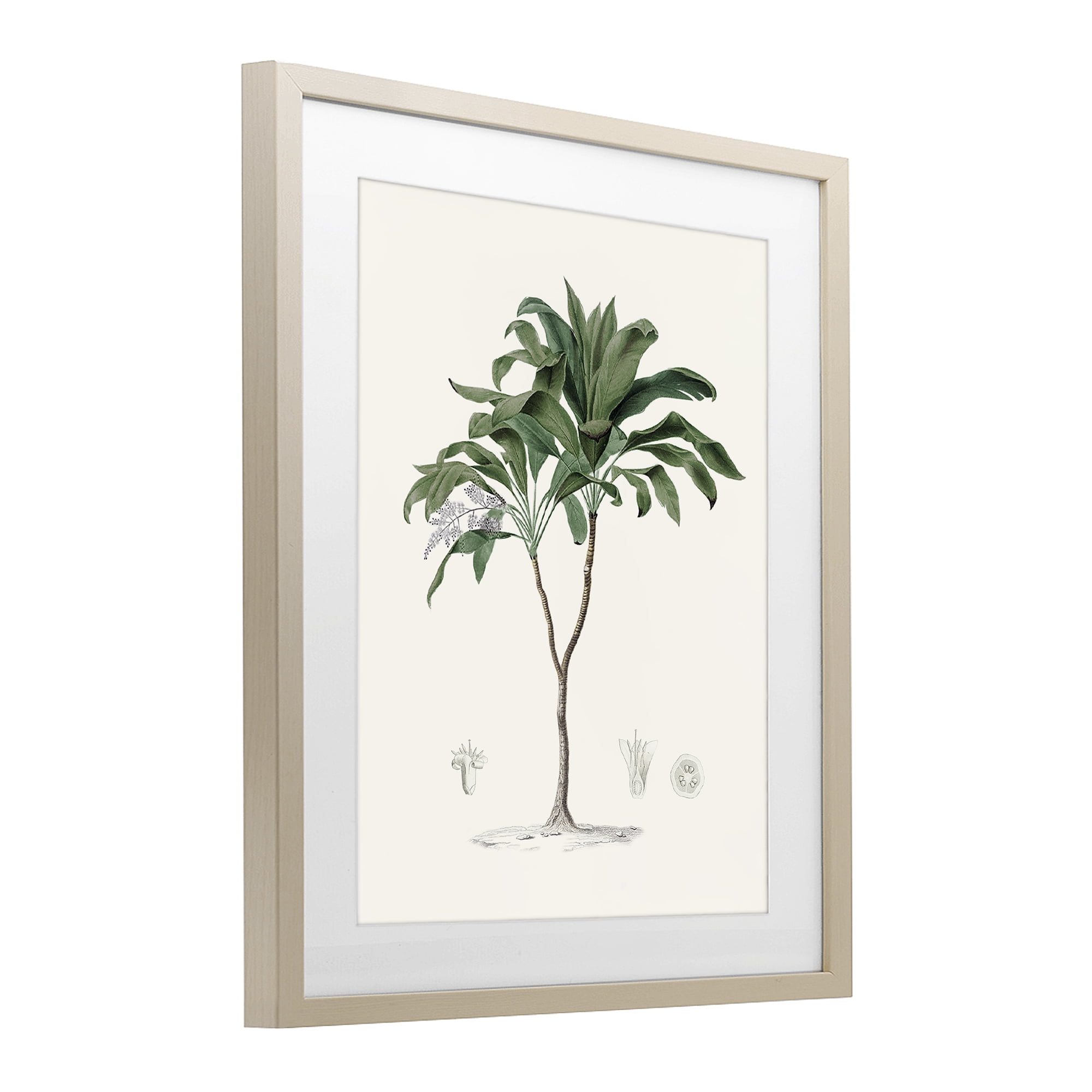 Stupell Industries Coastal Palms Vintage Birch Framed Print Under Glass, design by Val Rhodes