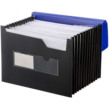 ICHUDAN Sturdy Expanding File Folder with Sticky Labels, 13 Pockets ...