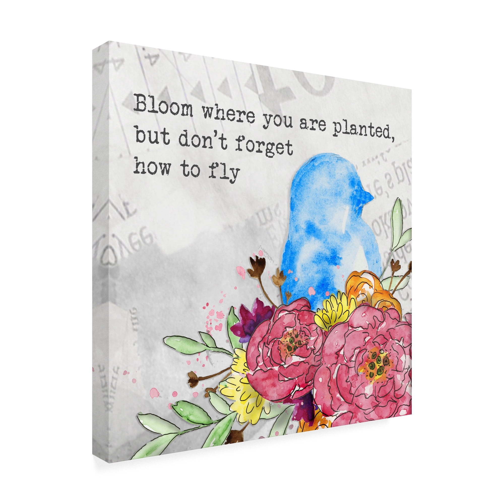 Trademark Fine Art 'Bloom & Fly II' Canvas Art by Catherine McGuire