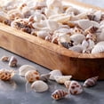 thumbnail image 2 of Shell Beads by Bead Landing, 2 of 8