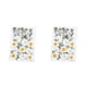 thumbnail image 4 of Cateissary Flores secas, flores prensadas naturales, decoraciones de mixtas, accesorios de bricolaje, artículos para el hogar, decoración artística Type2 NO2 Cateissary CBP225216, 4 of 5