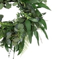 thumbnail image 4 of Northlight Eucalyptus and Fern Mixed Foliage Artificial Spring Wreath - 24", 4 of 9