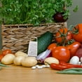 thumbnail image 4 of ColoMX Mini rallador de queso de acero inoxidable de 6 piezas, rallador de caja de cuatro lados para uso en la cocina, cortador y triturador de verduras multifunción para queso, ajo, zanahorias y más., 4 of 8