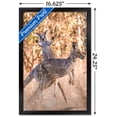 thumbnail image 3 of The Comedy Wildlife Photography Awards: Lara Mathews - Boing Wall Poster, 14.725" x 22.375" Framed, 3 of 5