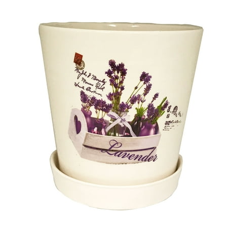 Creative Motion Ceramic Mini Flower Pot with Lavenders Design. Product Size: Top: 4.3
