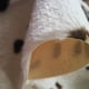 thumbnail image 3 of Alfombra con estampado de cebra/vaca cabra, alfombras de terciopelo de imitación de cuero, pieles de animales de piel de vaca, alfombras con formas naturales, tapetes decorativos de 110x75cm, 3 of 6